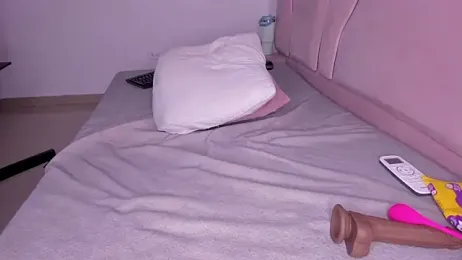 ambarasm webcam model stream image