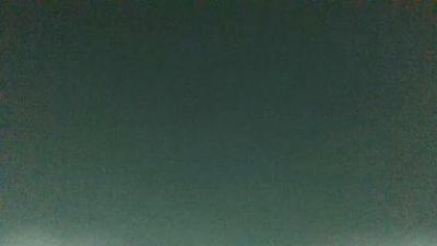 BIRDY1383 webcam model stream image