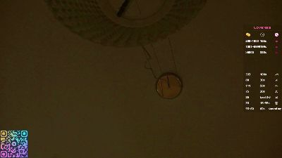 TierraCheck webcam model stream image