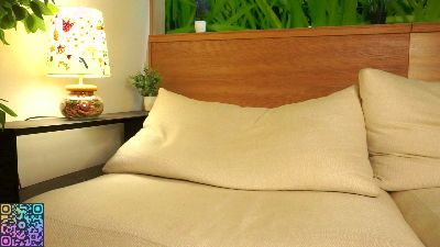 TierraCheck webcam model stream image