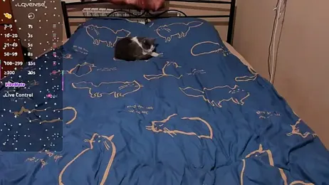 eva_zero webcam stripchat model stream image