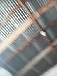 Cristian_Camila webcam model stream image