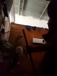 Andreita_95 webcam model stream image