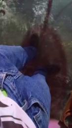 RoyalMaster_xxx webcam model stream image