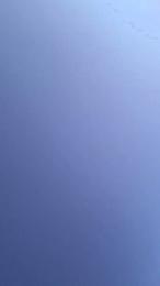 Tania__honey webcam cam4 model stream image