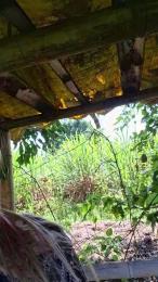 Tania__honey webcam cam4 model stream image