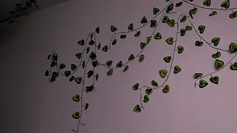 LadyTrep webcam stripchat model stream image