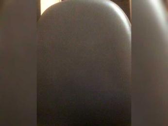 Sentara webcam model stream image