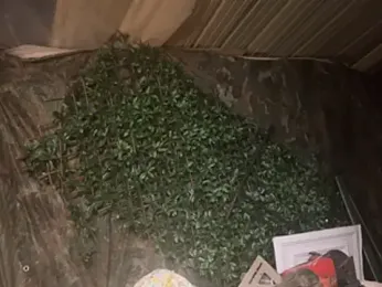 trash4cash webcam model stream image