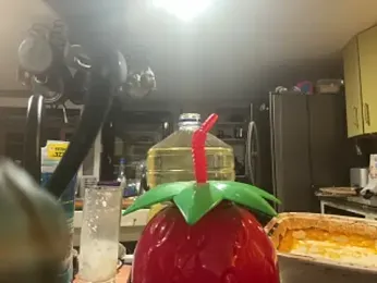 trash4cash webcam model stream image