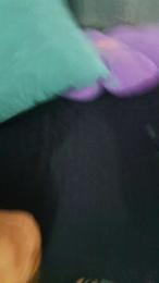 Complisx webcam model stream image