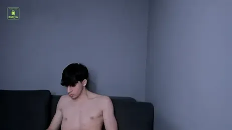 Quentin_Blake webcam model stream image