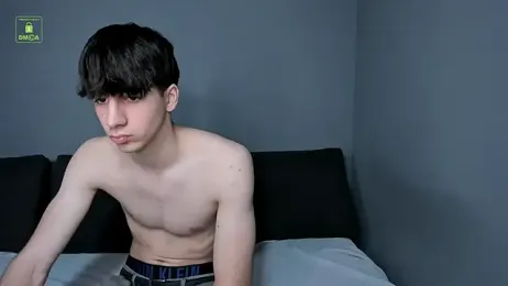 Quentin_Blake webcam model stream image