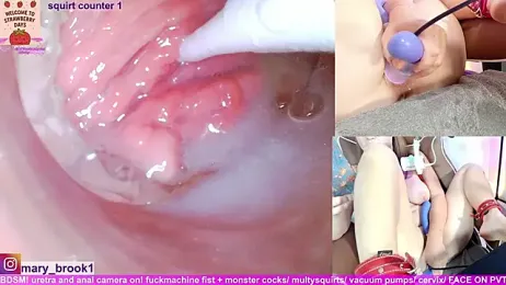 MaryBrook1 webcam model stream image