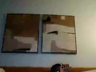 shydixk webcam camsoda model stream image