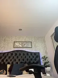 Lander_Cruz webcam model stream image