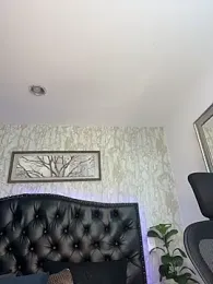 Lander_Cruz webcam model stream image