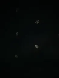 Karla_Stein2026 webcam model stream image