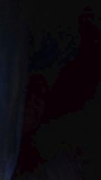 teddy2008 webcam model stream image