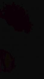 teddy2008 webcam cam4 model stream image