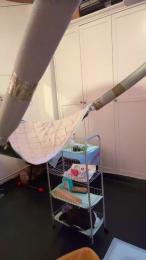 Barefistfotze webcam model stream image