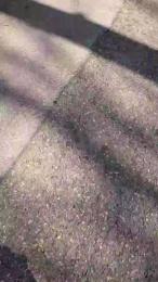 18cmdickforU webcam cam4 model stream image