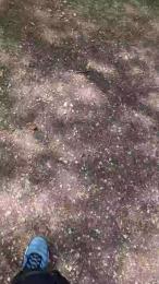 18cmdickforU webcam cam4 model stream image