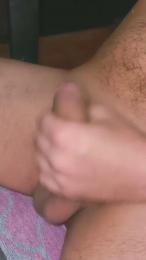 Pinguino08 webcam model stream image