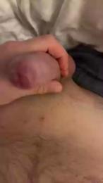 Hase1926 webcam model stream image