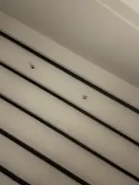 curchez_ webcam model stream image