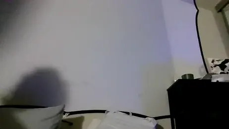 Triggerhappycj100 webcam model stream image