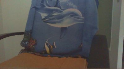 laparki webcam model stream image