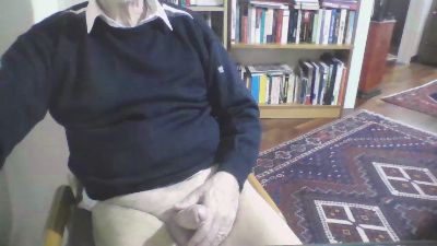 costan3 webcam model stream image