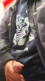 maialone55 webcam model stream image