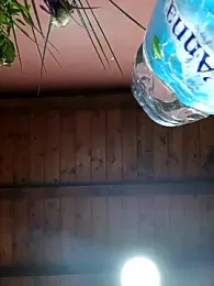 CurlyElisa webcam model stream image