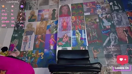 Mistileav webcam model stream image