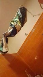 rubiblue2 webcam model stream image