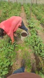 jo23_xxx webcam cam4 model stream image