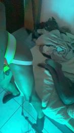 enzo_bllazi webcam model stream image