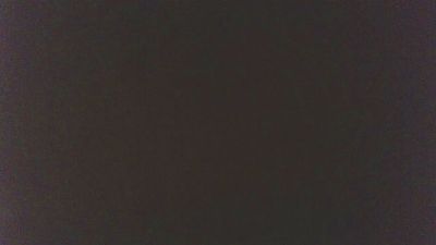 HotDogXL webcam model stream image