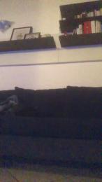 Alex77777777 webcam cam4 model stream image