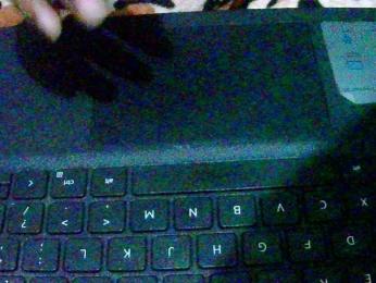 Anshia webcam model stream image