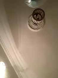 veilofstrength webcam model stream image