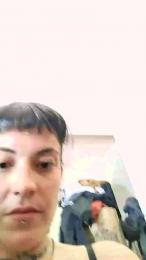 saldfnuik webcam model stream image