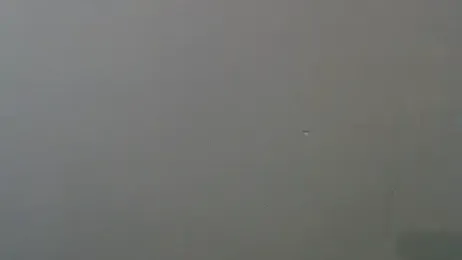 Melanin-Monroeee webcam stripchat model stream image