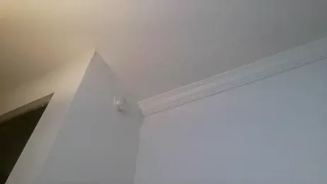 mochi_rainbow webcam stripchat model stream image