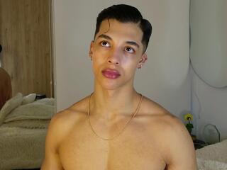 Troye Williams webcam model stream image