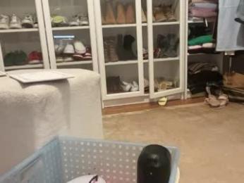 bigdickwalkin webcam chaturbate model stream image