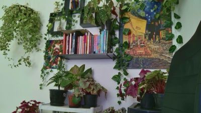 talimajesty webcam model stream image