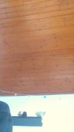 maddyfun97 webcam model stream image